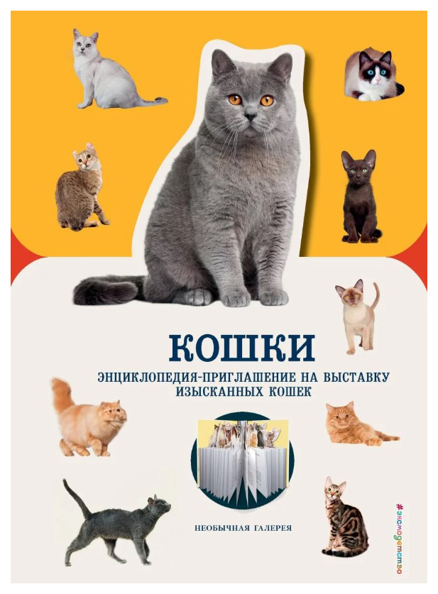 

Кошки