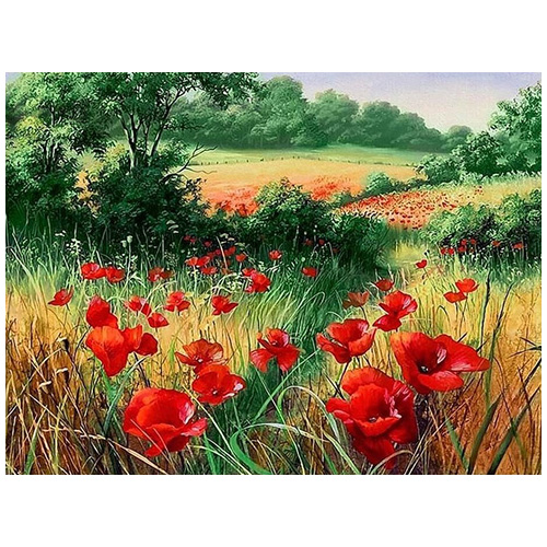 

АЖ-1682 Картина стразами 'Маки на лугу' 40*30см