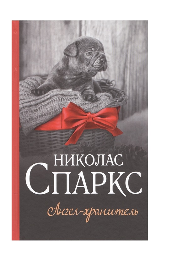 

Книга Ангел-хранитель