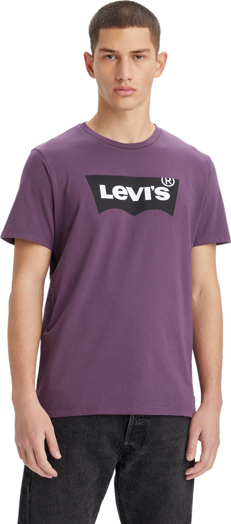

Футболка мужская Levi's 22491-1193 фиолетовая S, Фиолетовый, 22491-1193