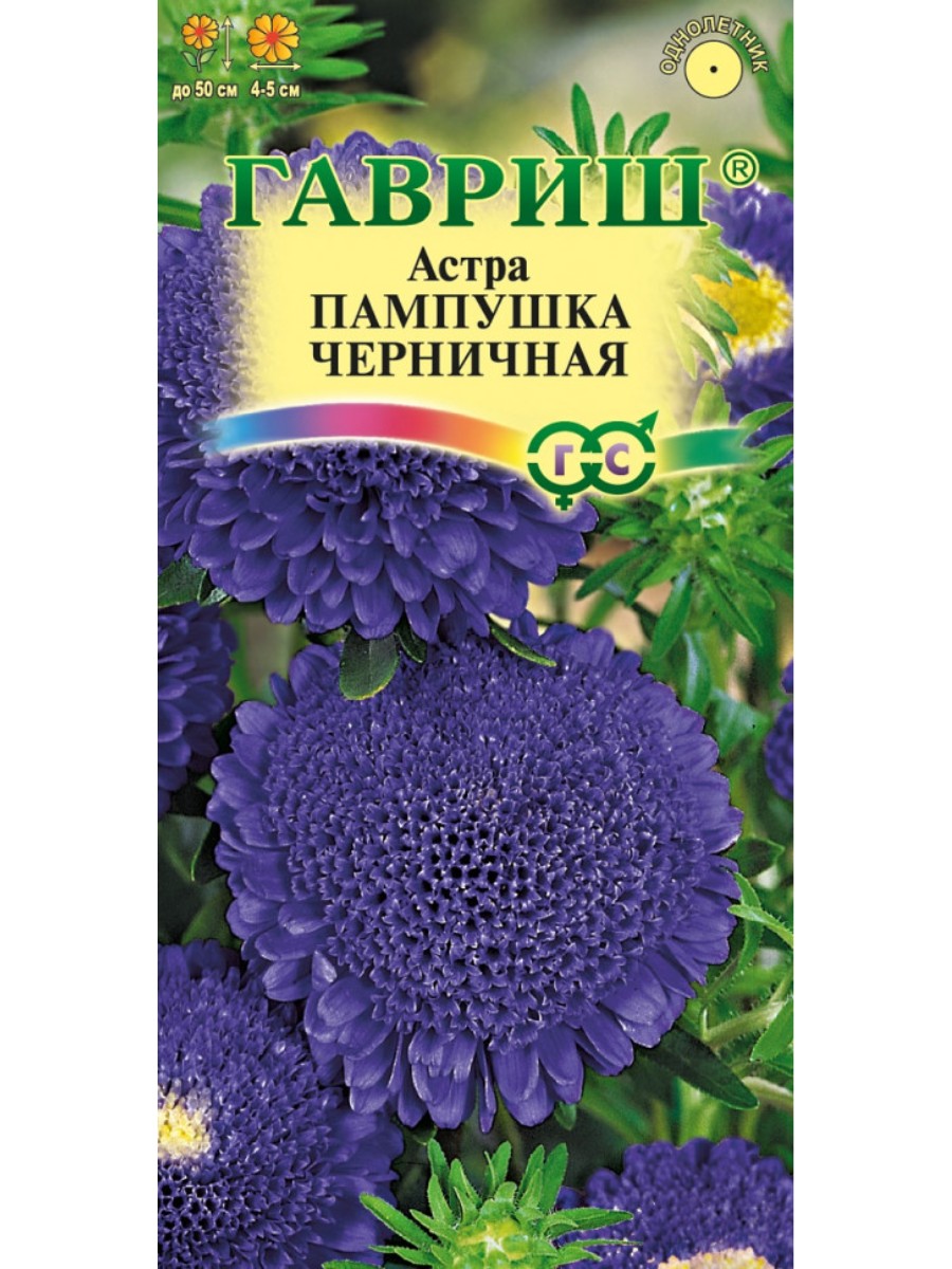 

Семена Гавриш Астра Пампушка черничная помпонная 10 упаковок по 03 грамма