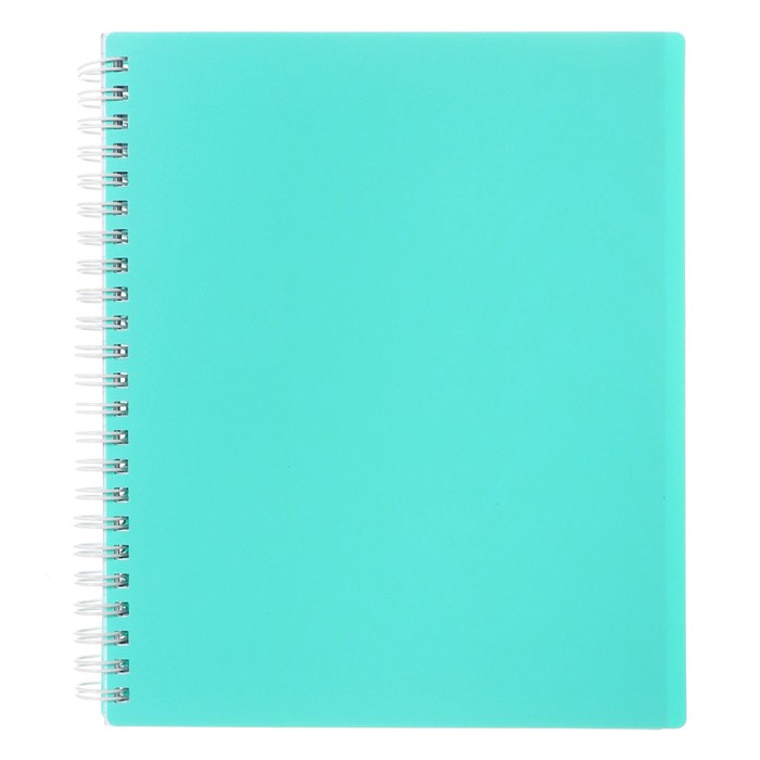 

Тетрадь Hatber Newtone Pastel Мята 80 л в клетку на гребне