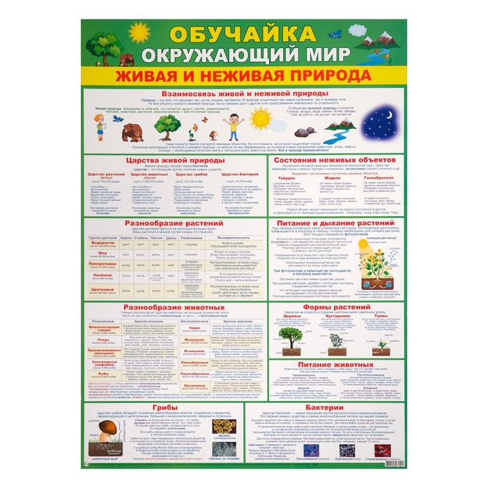 

Плакат "Обучайка окружающий мир" зеленый фон, А2