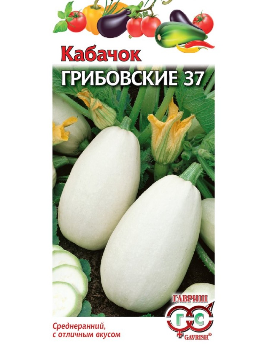 

Семена Гавриш Кабачок Грибовские 37 10 упаковок по 2 гр.