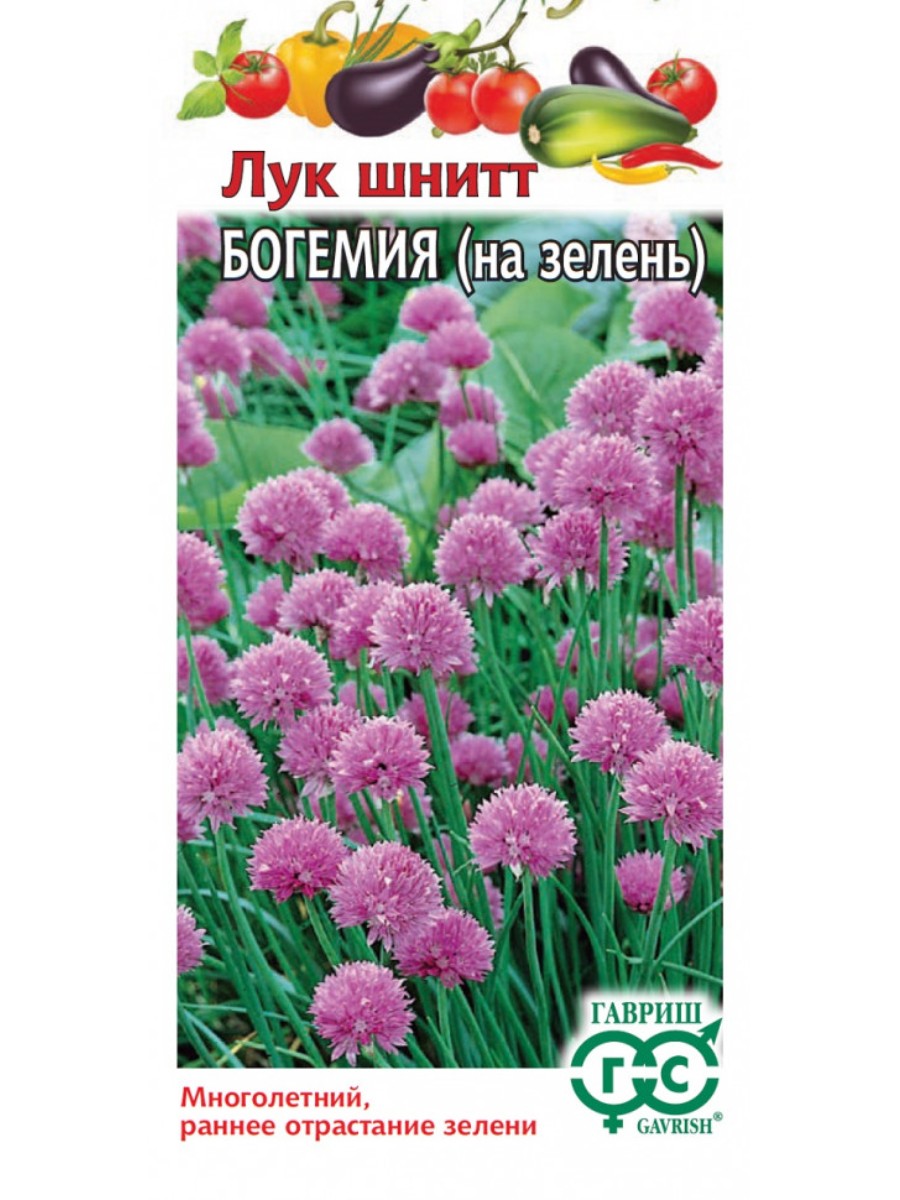 

Семена Гавриш Лук шнитт Богемия 10 упаковок по 05 гр.