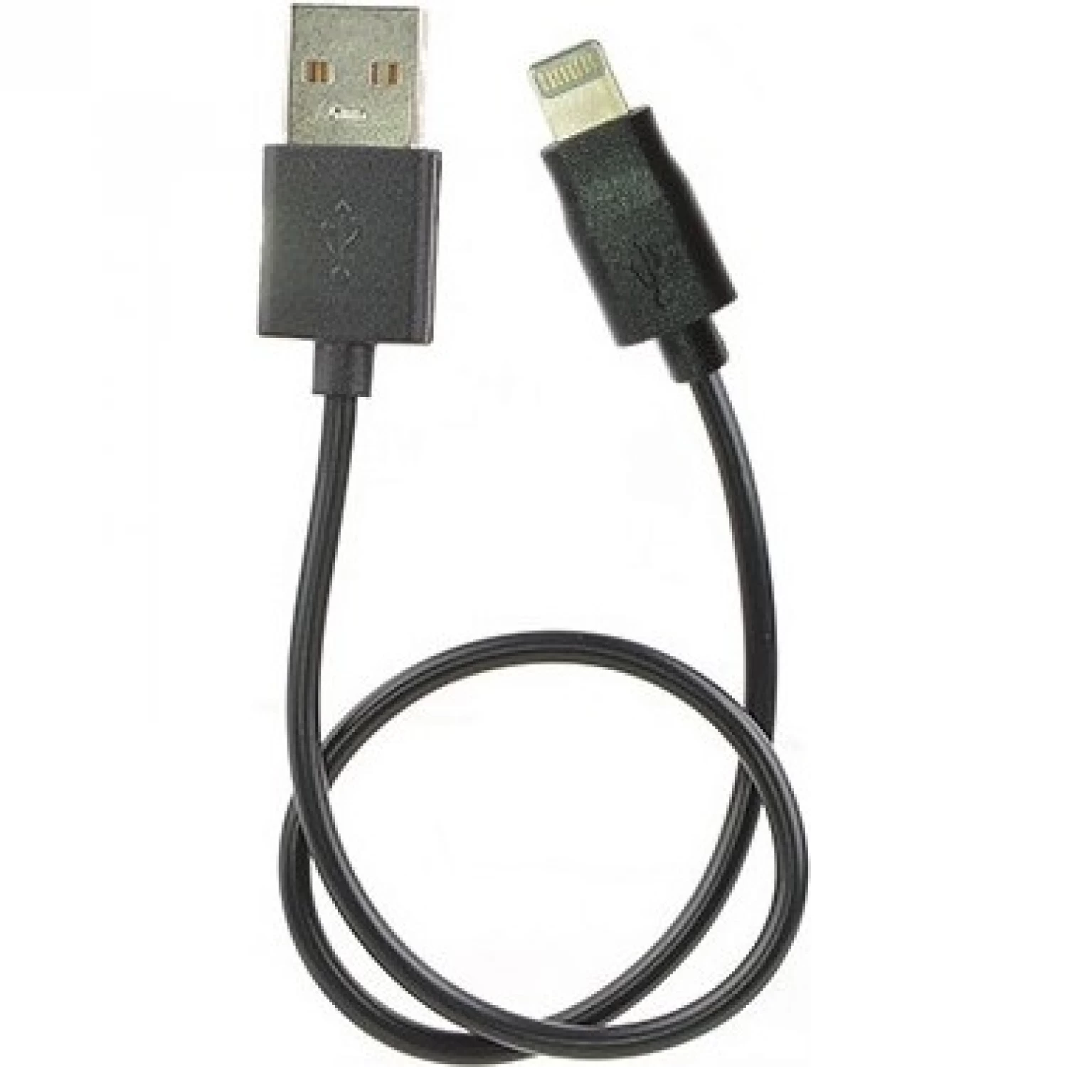 Аксессуар Robiton USB - Lightning P16 8pin SyncCharg 30cm Black