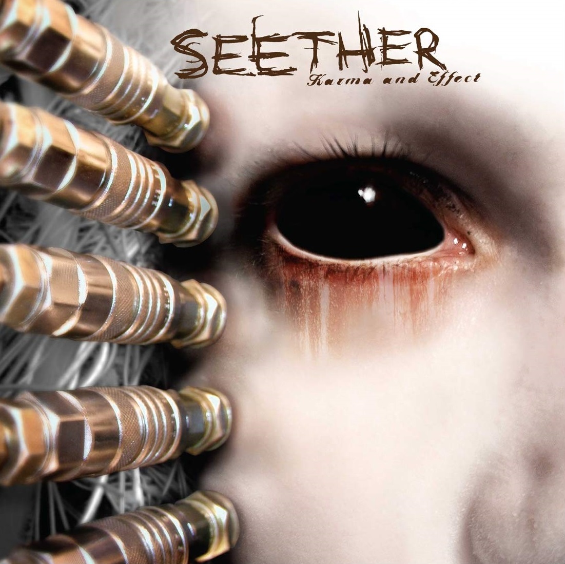 

Seether Karma and Effect (2LP)