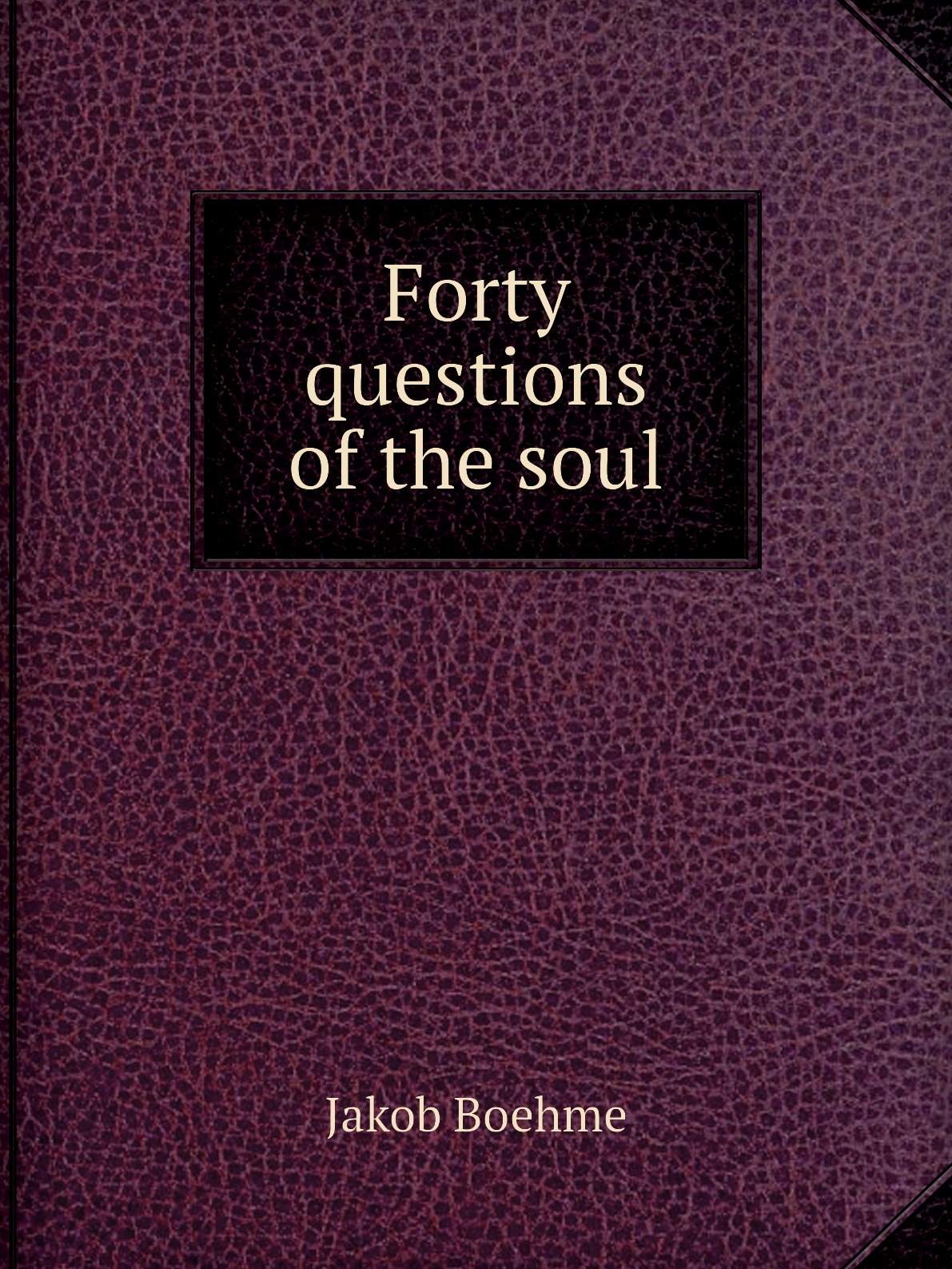 

Forty questions of the soul