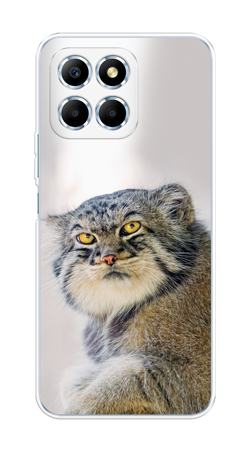 

Чехол на Huawei Honor X6/X6s "Кот манул 1", Серый;белый;желтый, 6109550-1
