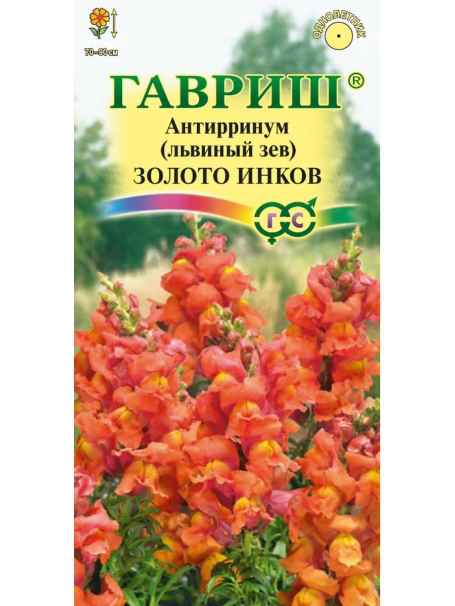 

Семена Гавриш Антирринум (Львиный зев) Золото инков 10 упаковок по 01 гр.