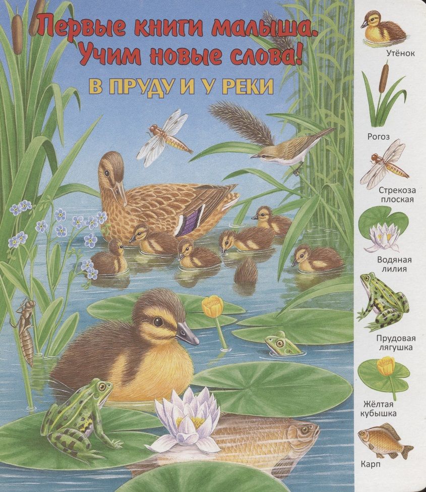 

Улыбка В пруду и у реки., В пруду и у реки. 2013 год