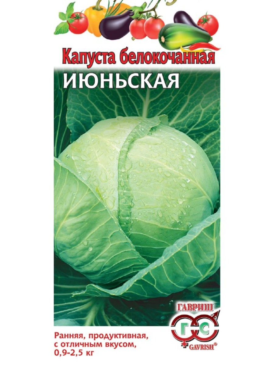 

Семена Гавриш Капуста белокочанная Июньская 10 упаковок по 05 гр.