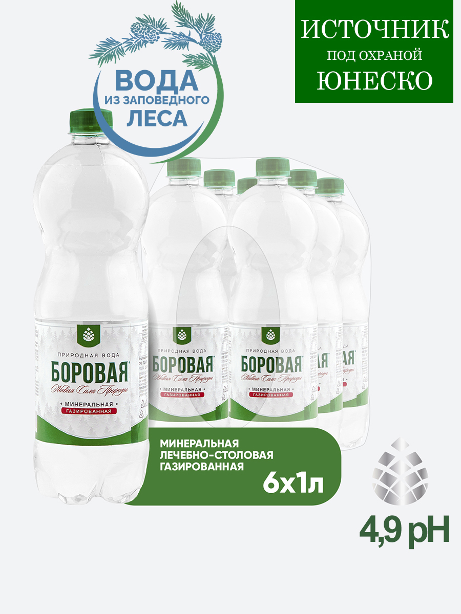 Вода BOROVAYA лечебно-столовая минеральная, газированная, 1 л х 6 шт