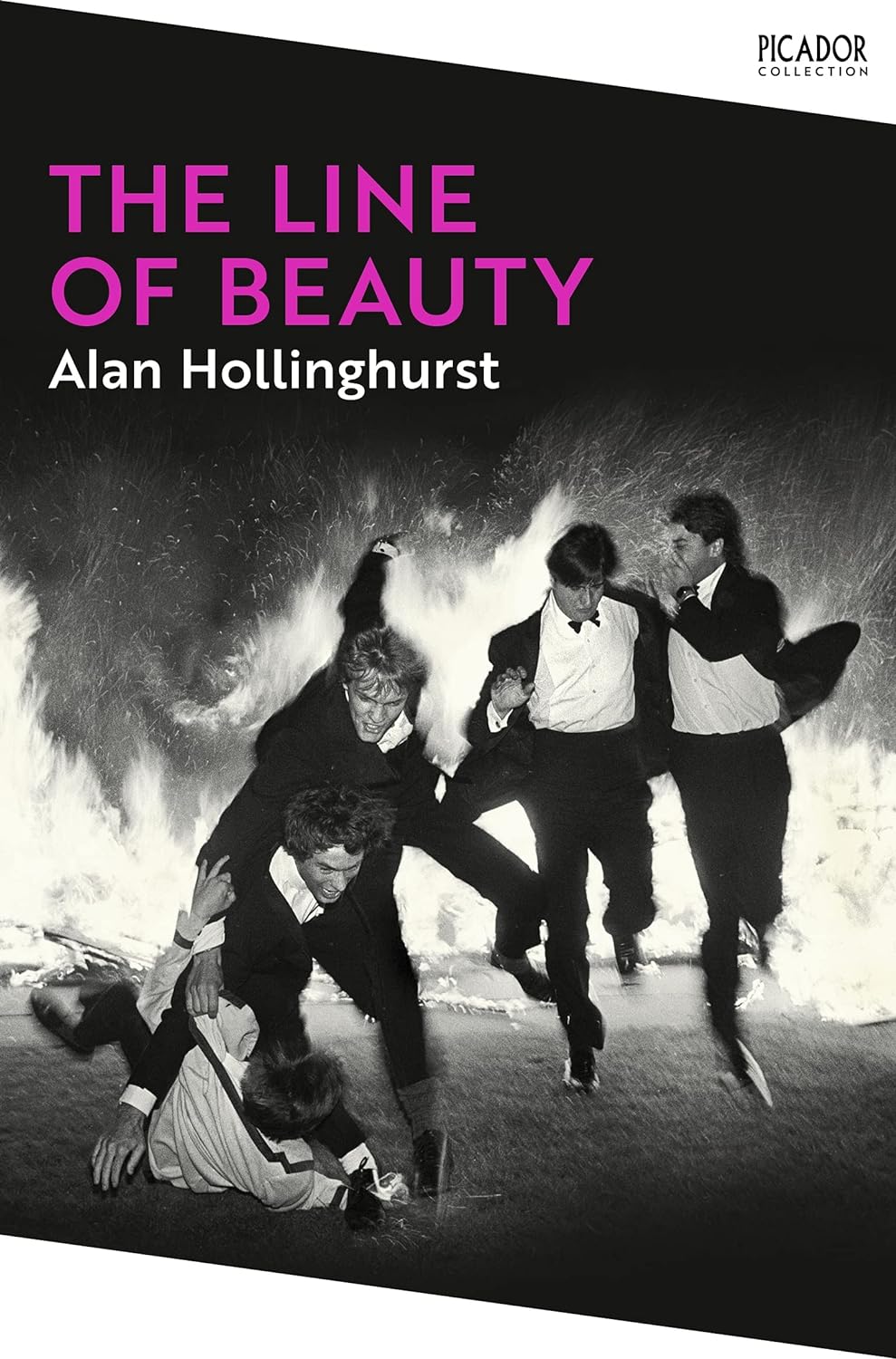 

Line of beauty. Hollinghurst Alan
