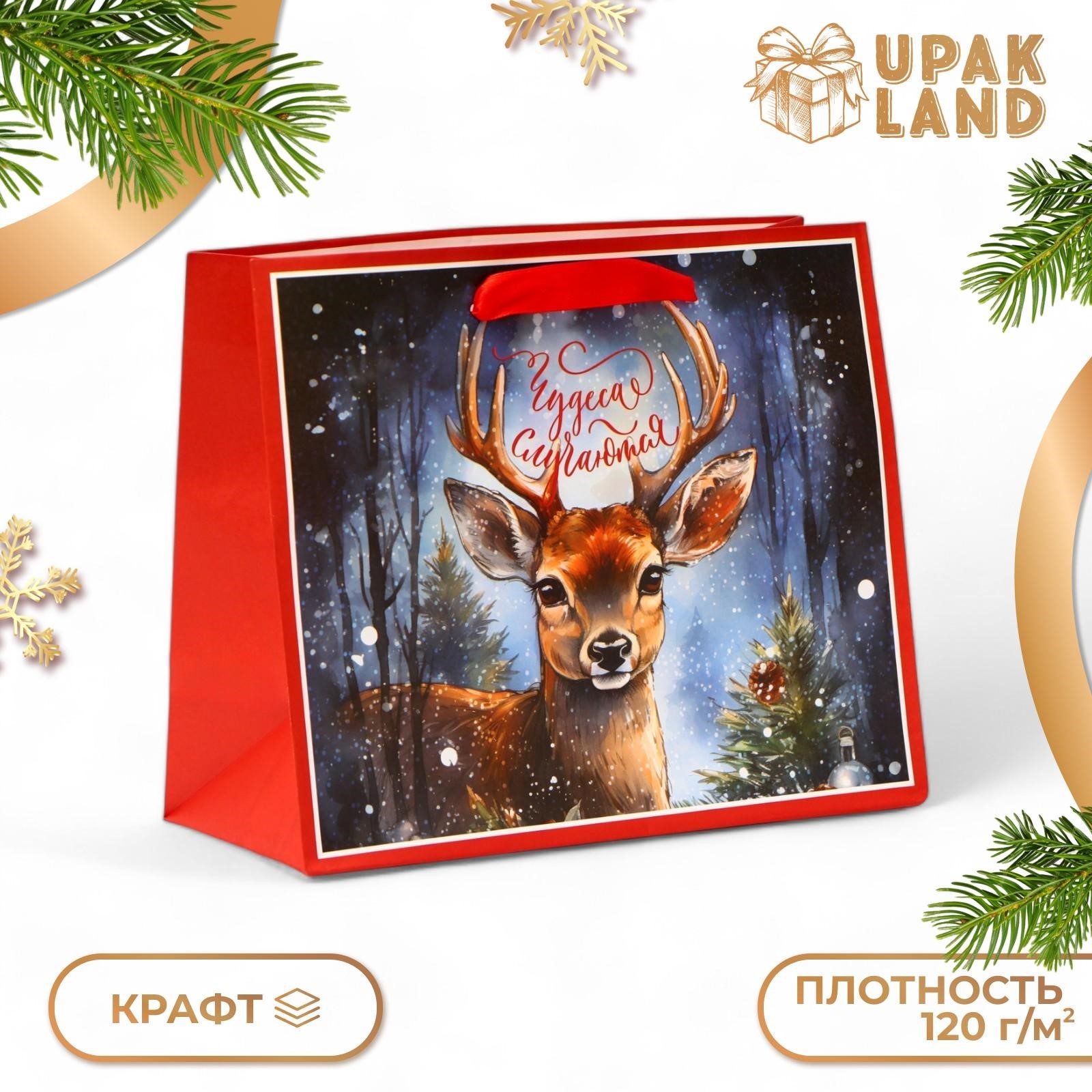 

Подарочный пакет UPAK LAND Чудеса случаются 24 х 20 х 11 см, 1 шт