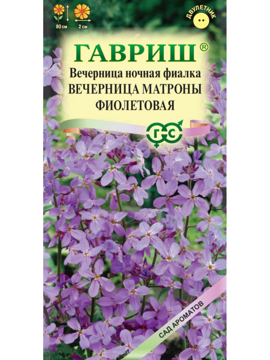

Семена Гавриш Хесперис Вечерница Матроны фиолетовая 10 упаковок по 01 гр.