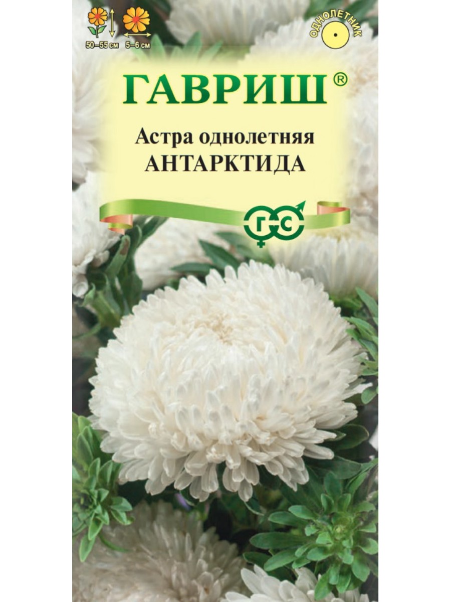 

Семена Гавриш Астра Антарктида 10 упаковок по 03 грамма