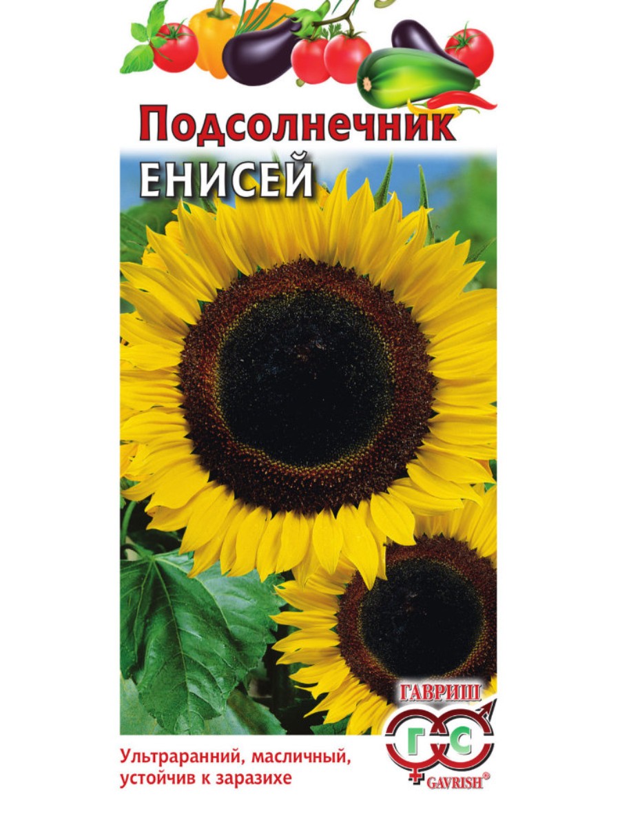 

Семена Гавриш Подсолнечник Енисей 10 упаковок по 10 гр.