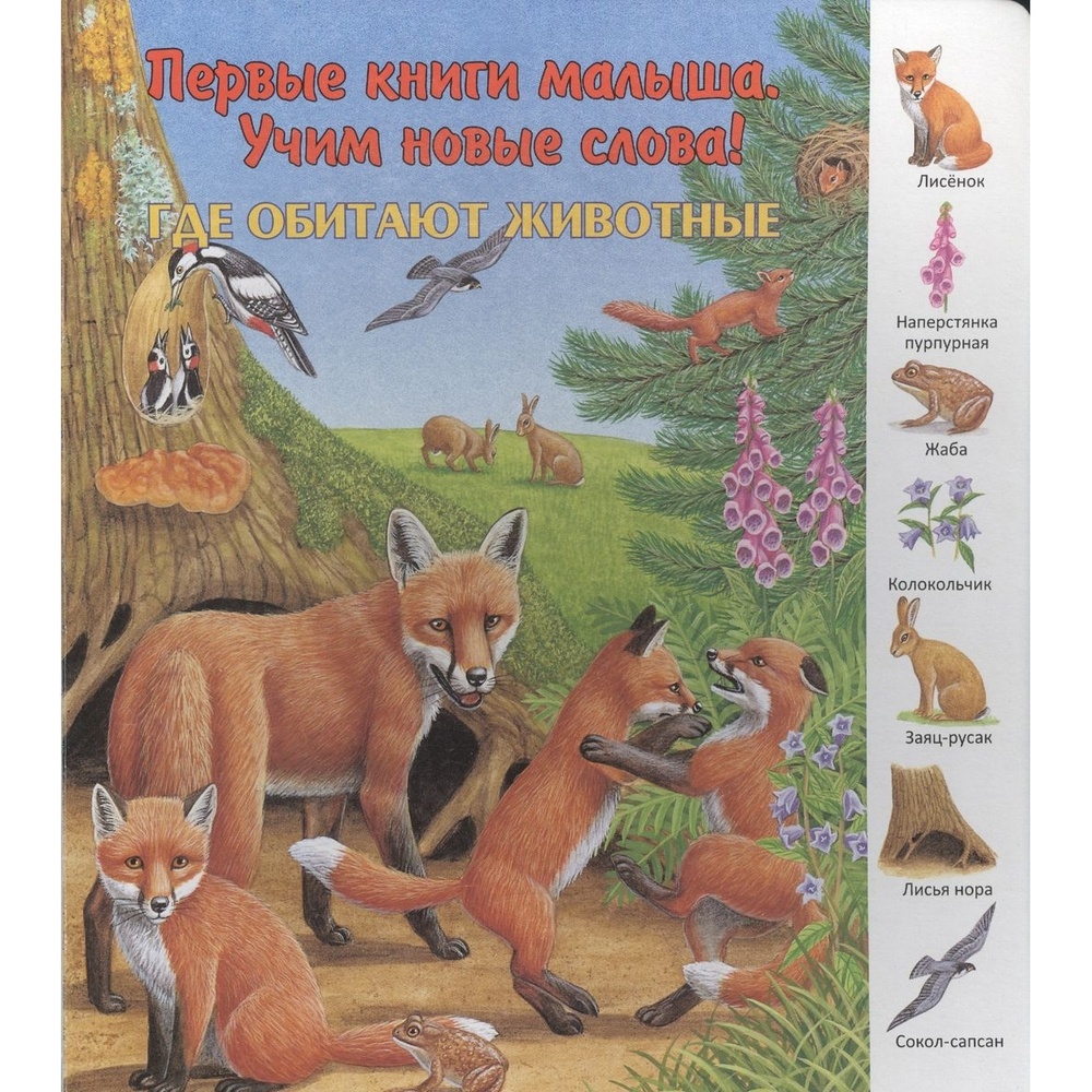 

Улыбка Первые книги малыша. Учим новые слова! Где обитают животные., Первые книги малыша. Учим новые слова! Где обитают животные. 2015 год