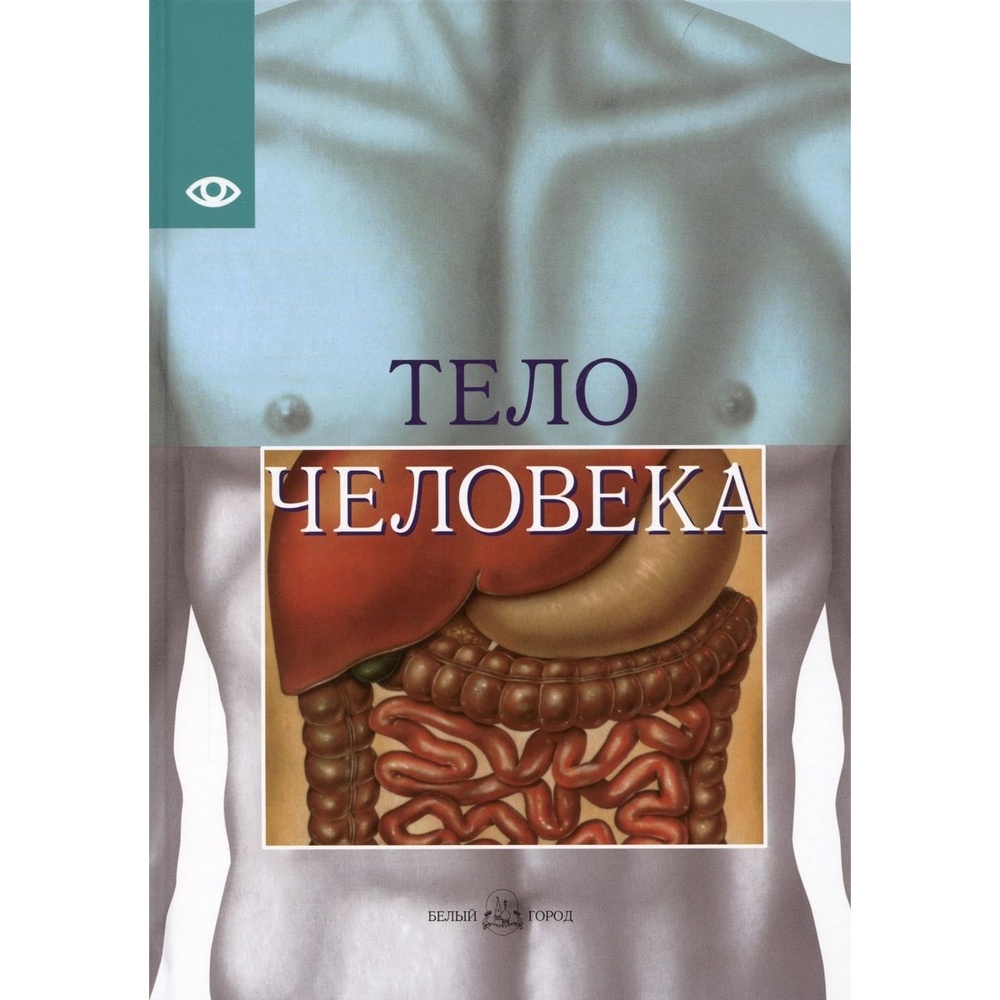 

Белый город Тело человека., Тело человека. 2022 год, Виге Ж.