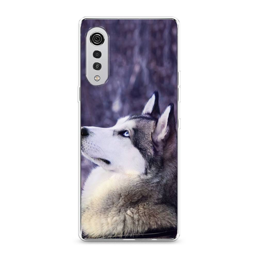 

Чехол на LG Velvet 4G "Хаски 1", Фиолетовый;белый, 84450-1