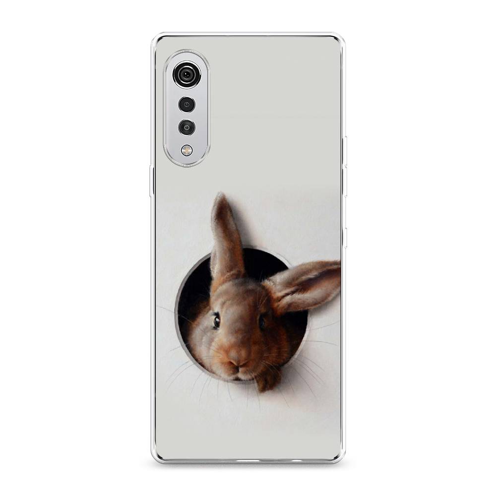 

Чехол на LG Velvet 4G "Любопытный кролик", Серый;коричневый, 84450-1