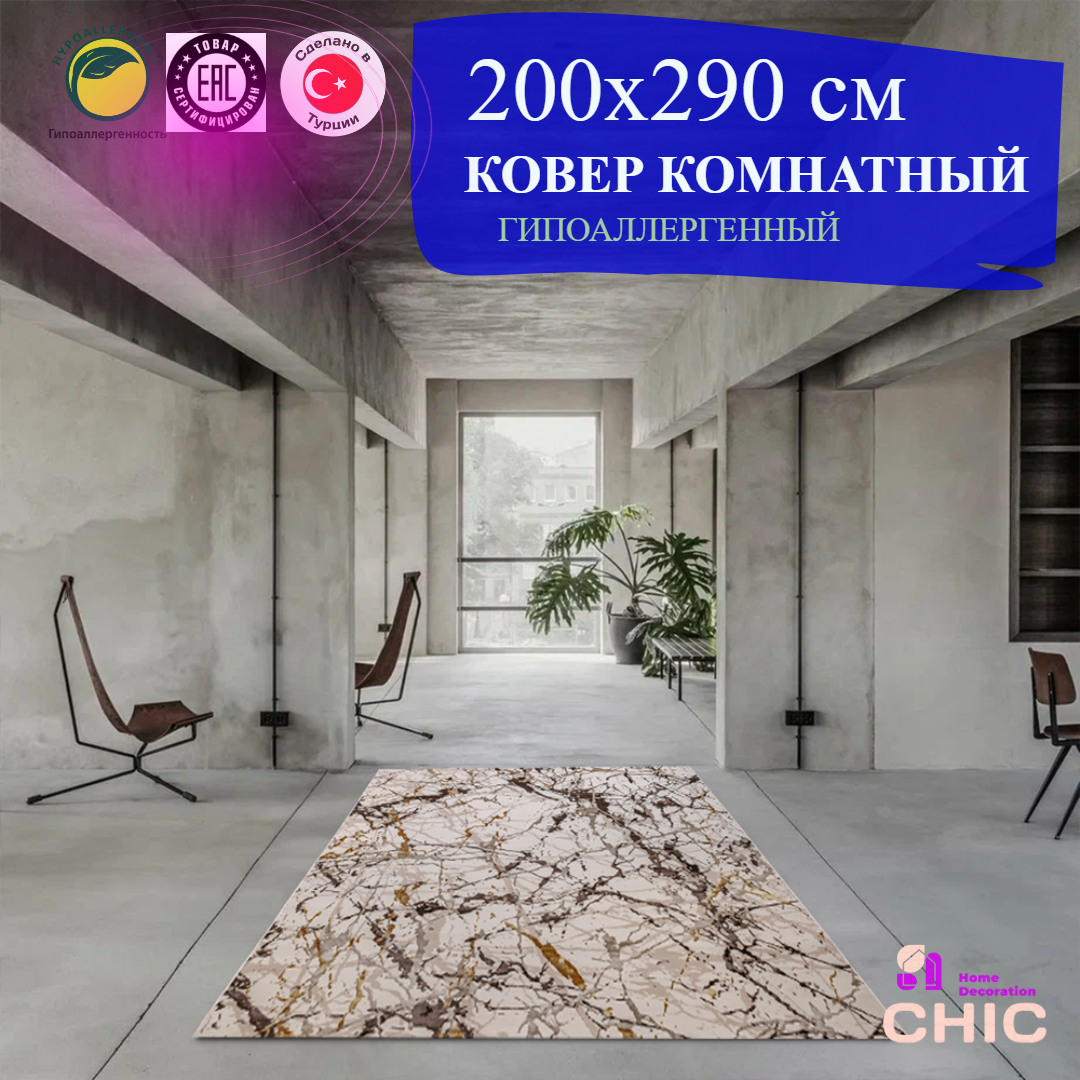 

Ковер Chic Home Decoration, 200х290