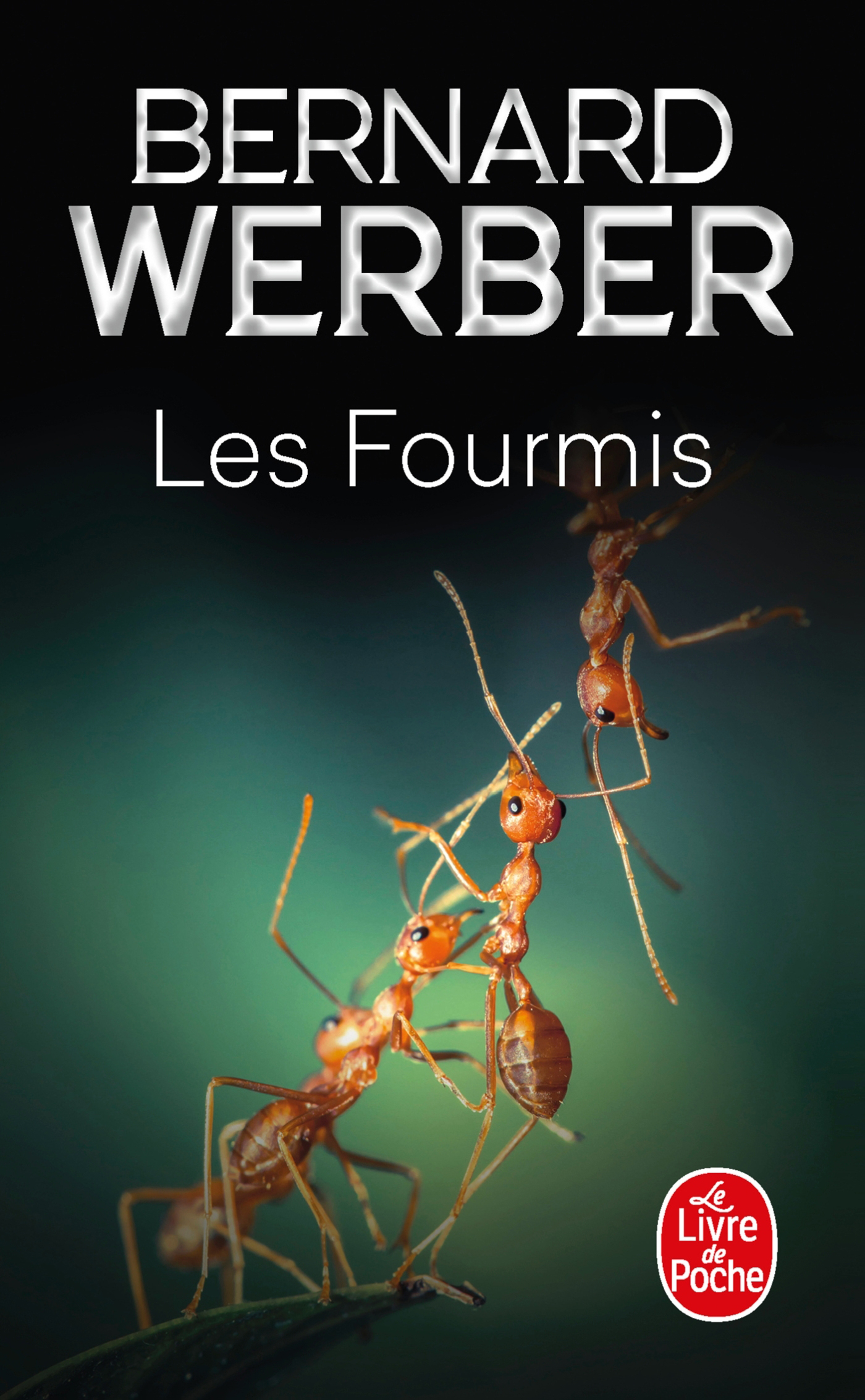 

Les Fourmis Tome 1