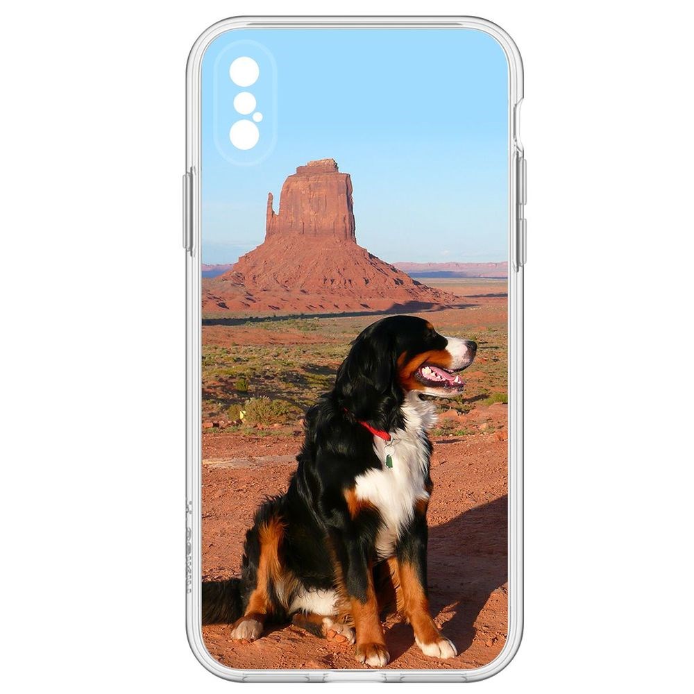 Чехол-накладка Бернская овчарка для iPhone XS