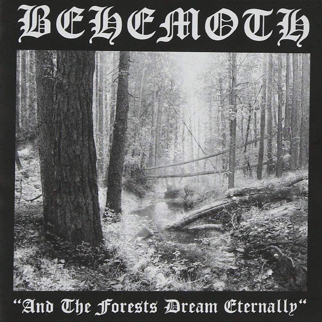 

Behemoth And The Forests Dream Eternally (Clear) (Винил)