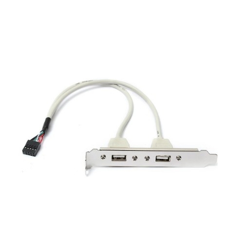 ORIENT C086L30, Планка портов в корпус 2xUSB 2.0, длина кабеля 30см, oem (31302) 100059195728