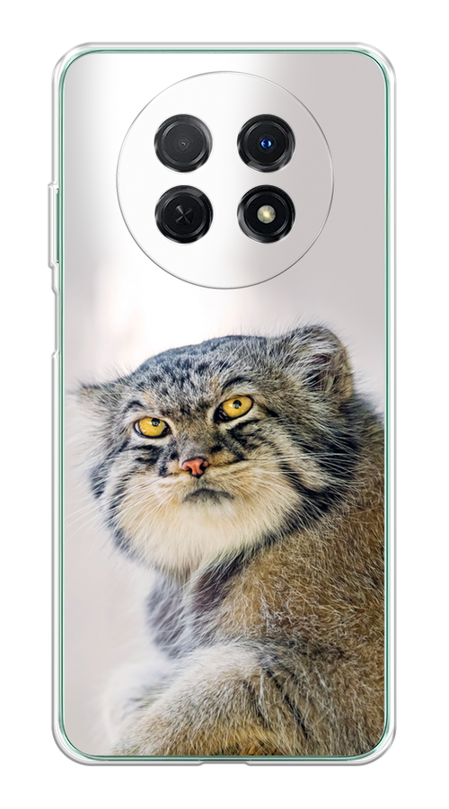 

Чехол на Huawei Nova Y91 "Кот манул 1", Серый;белый;желтый, 6121650-1