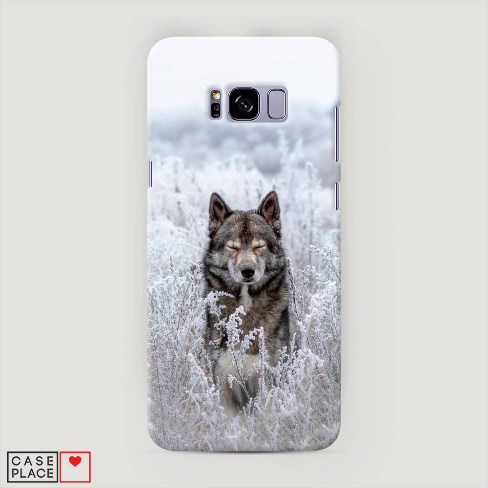

Чехол Awog "Волк в поле" для Samsung Galaxy S8 +, 24820-1