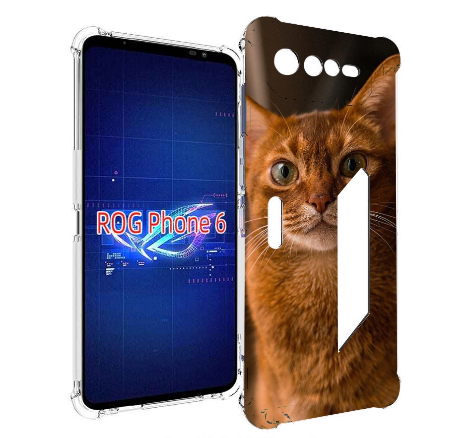 

Чехол MyPads порода кошки абисинская для Asus ROG Phone 6, Прозрачный, Tocco