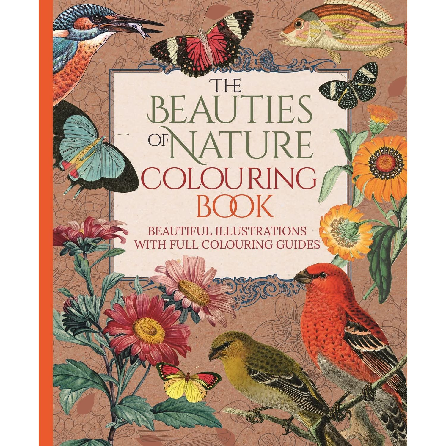 

Beauties of Nature Colouring Book. Willow, Tansy