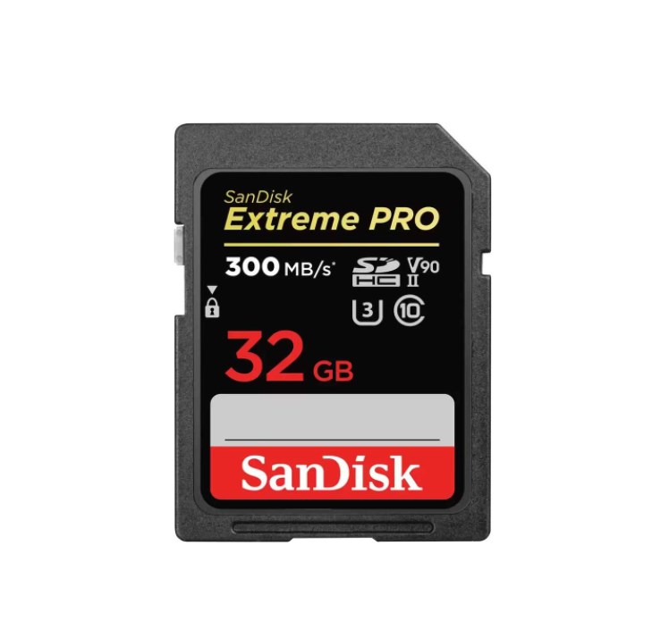 Карта памяти SanDisk SDHC SDSDXDK-032G-GN4IN 32GB