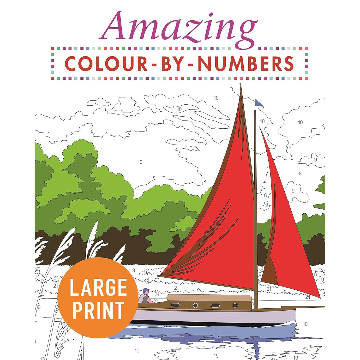 

Amazing Colour-By-Numbers Large Print. Arcturus Publishing