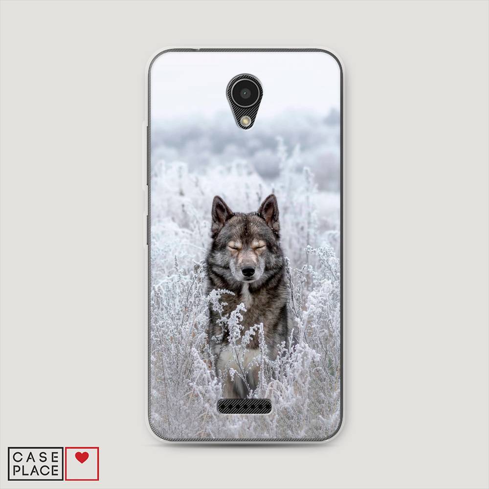 

Чехол Awog на Lenovo Vibe B / Леново Vibe B "Волк в поле", 112450-1