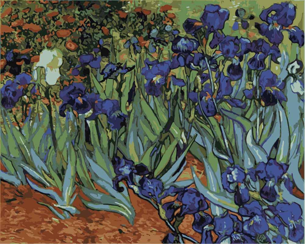 

Картина по номерам Цветной Ирисы, 40x50 см, Ирисы