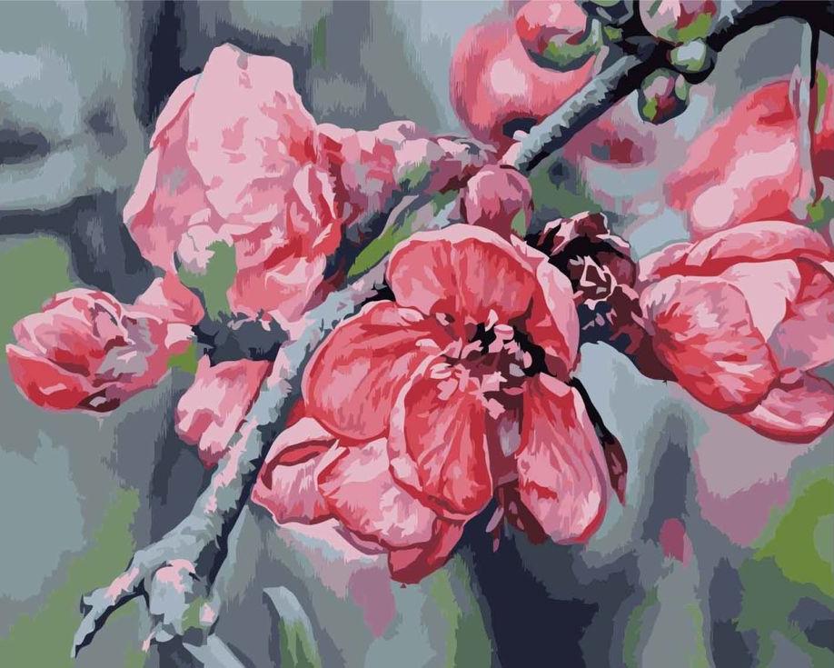 

Картина по номерам Цветной Ветка яблони, 40x50 см, Ветка яблони