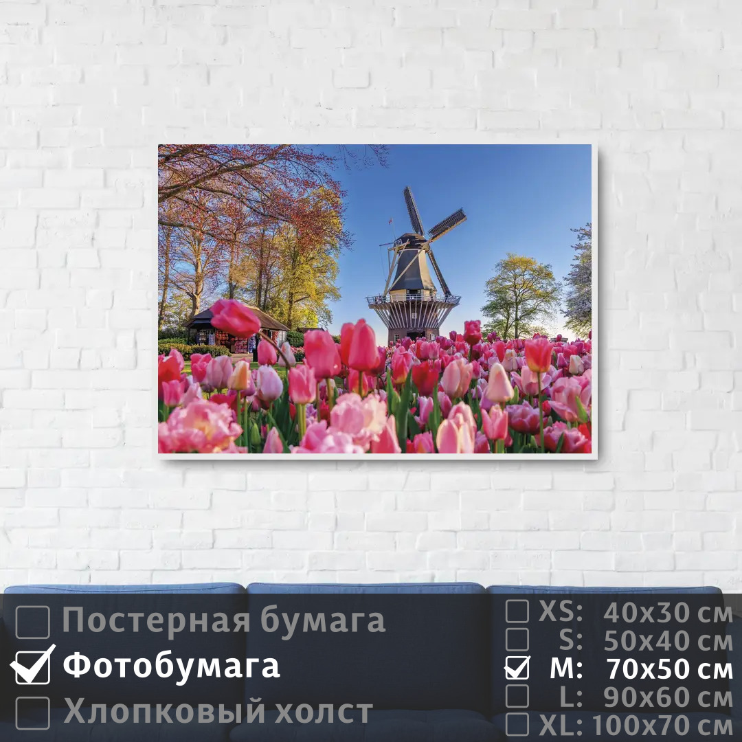 

Постер на фотобумаге ПолиЦентр Тюльпаны в саду с мельницей 70х50 см, ТюльпаныВСадуСМельницей