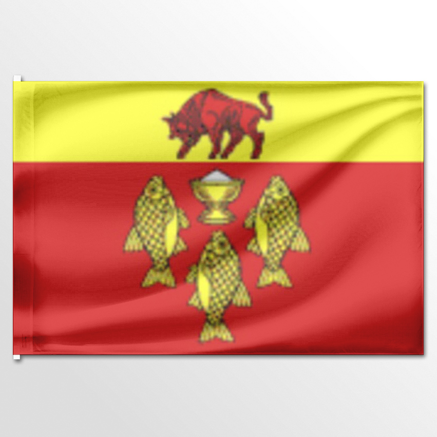 

Флаг ЦТП ФЕНИКС Верхнебалыклейского сельского поселения 135x90 см, 1183-135x90