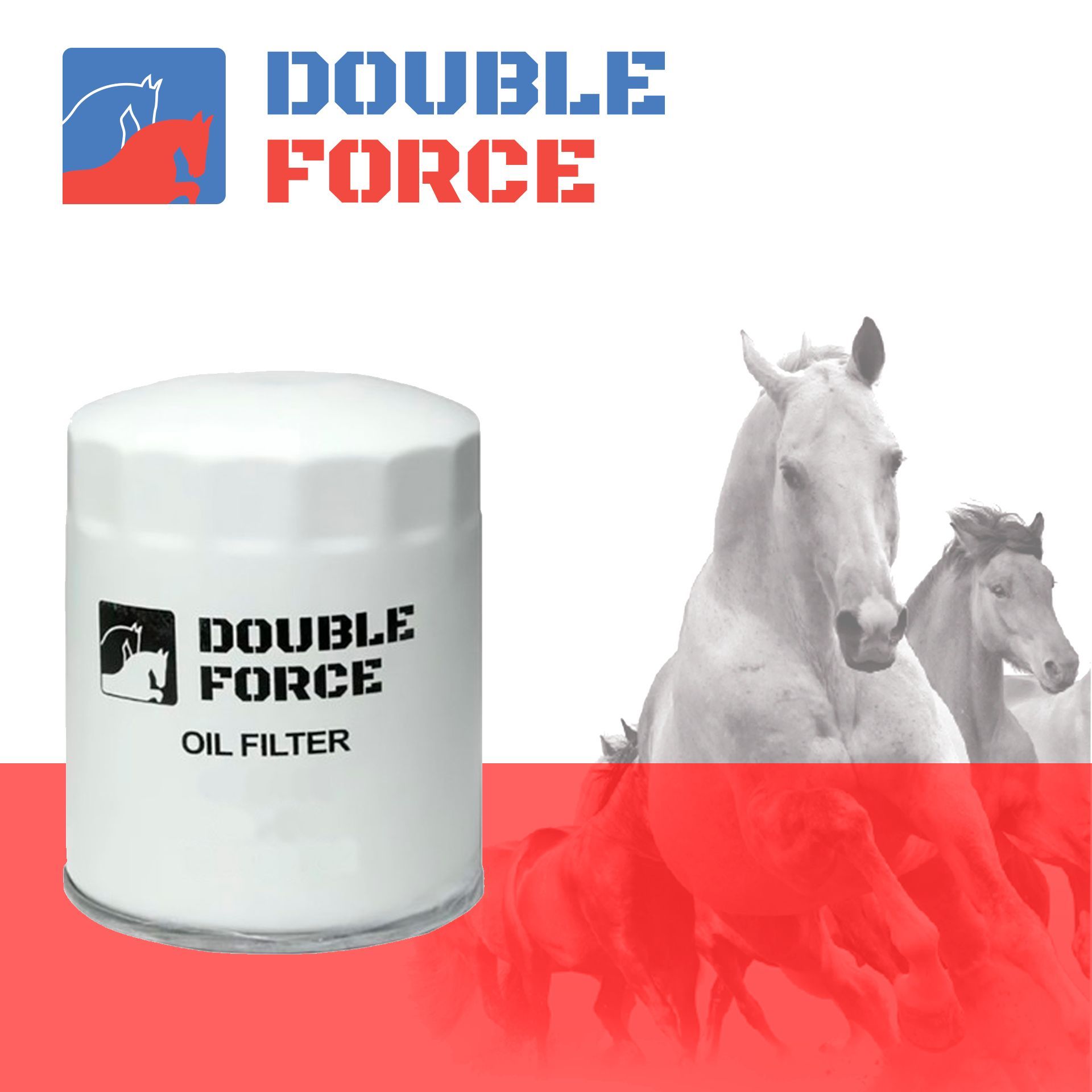 

Фильтр масляный DOUBLE FORCE арт. DFO065