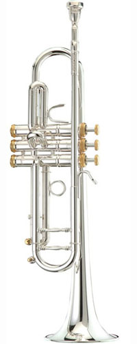 

Труба Bb Stomvi Elite 5330 250-ML Elite.5330