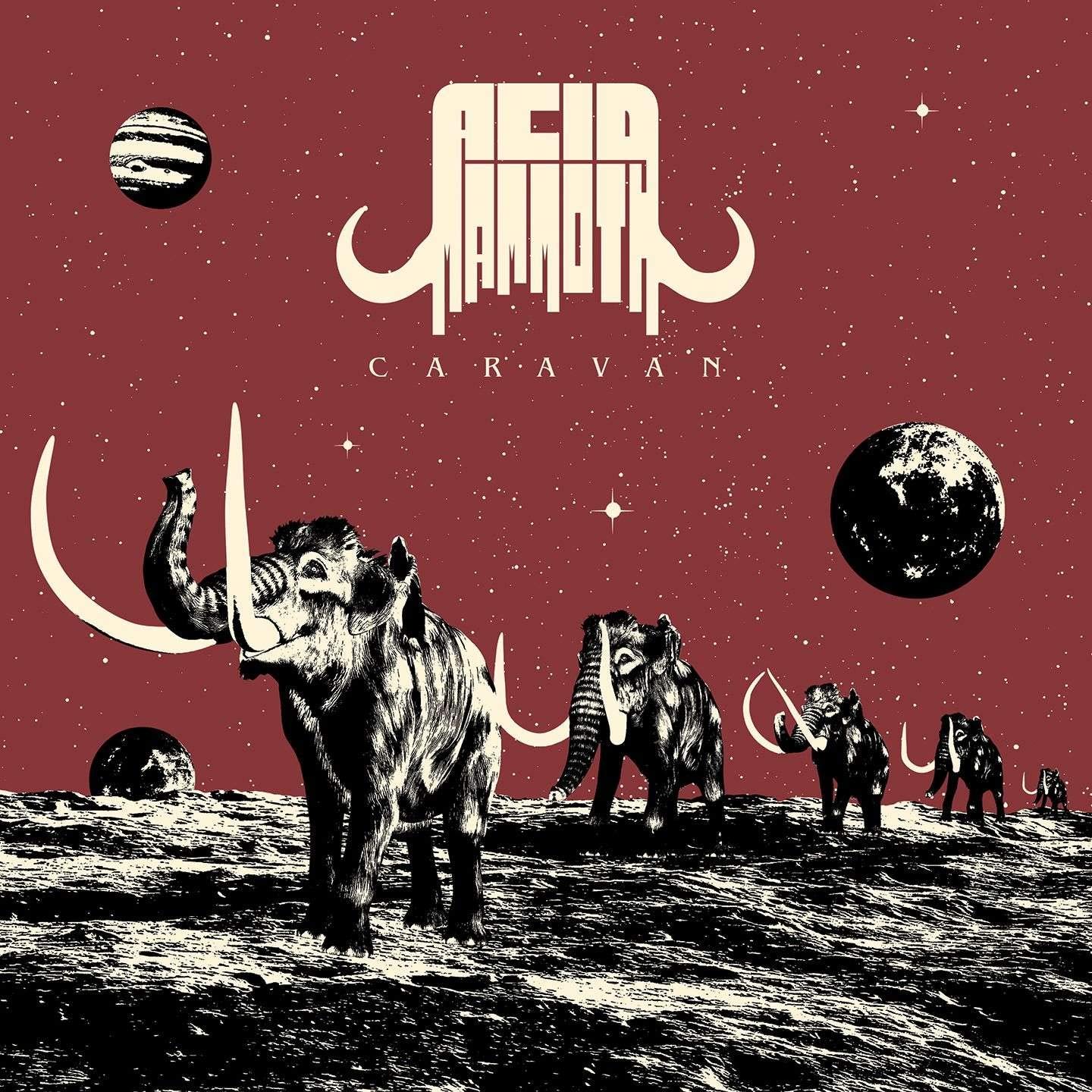 

Acid Mammoth Caravan (LP)