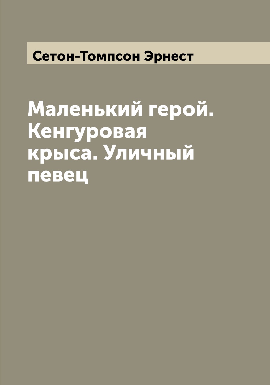 

Книга Маленький герой. Кенгуровая крыса. Уличный певец