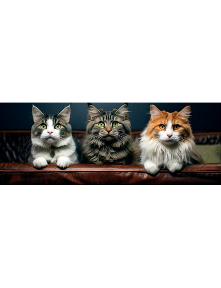 

Алмазная мозаика на подрамнике Три кота, 40x14 см, 40 цветов, 86239, ПНА-010