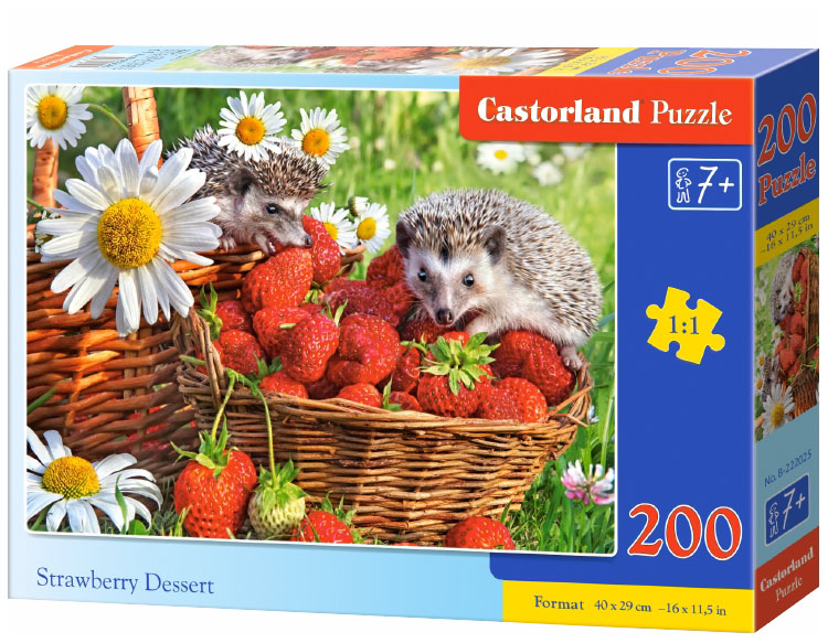 

Пазл Castorland летний пейзаж 200 деталей