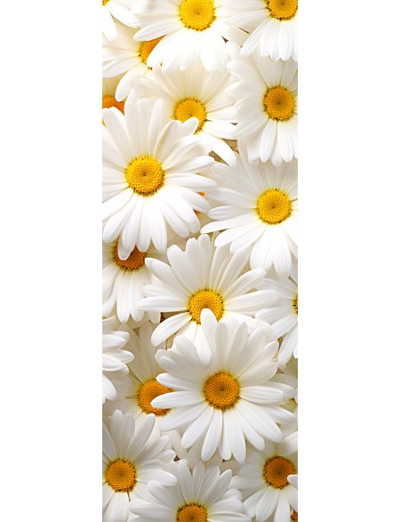 

Алмазная мозаика на подрамнике Ромашки, 50x17 см, 50 цветов, 86191, ПНА-005