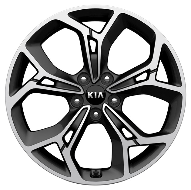 

Диск колесный алюминевый KIA 7.5x19 5x114.3 ET50.5 D67.1 52910f1510